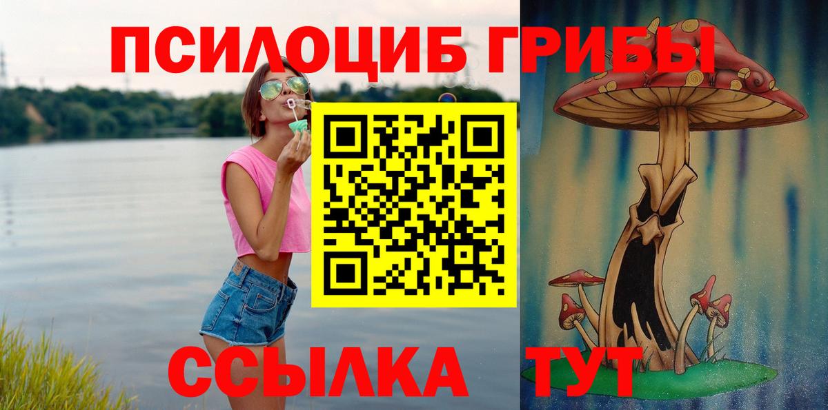 Псилоцибиновые грибы мицелий Балтийск